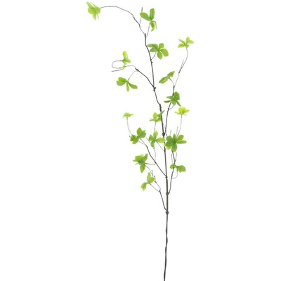 Enkiantus listová větev zelená 116 cm