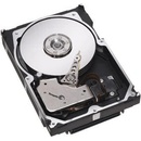 Pevné disky interní Seagate Cheetah 15K.7 300GB, 3,5", 1500rpm, SAS, ST3300657SS
