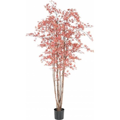 ARALIA PE STROM UV RED, 210cm