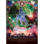 Cobble Hill - Puzzle Zodiac: Aquarius - 500 piese