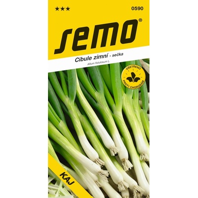 Semo Cibuľa zimná - Kaj zimné, celoročne pre vňať 1,8g