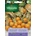 Лактофол Физалисът (Physalis peruviana)