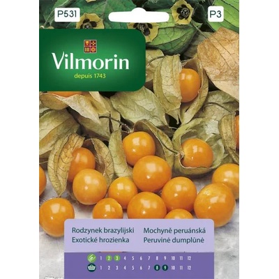 Лактофол Физалисът (Physalis peruviana)