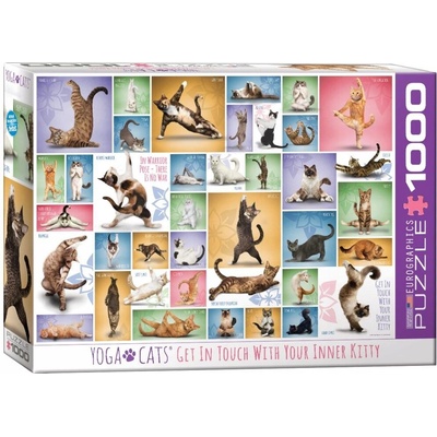 Eurographics Yoga Cats 1000 dílků