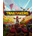 Trailmakers