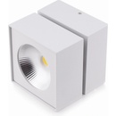 MaxLight C0106