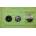 Compatible Зъбно колело 29t за lpr, hp 1010, ru5-0185 (ru5-0185)