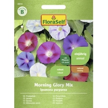 Povojník Morning Glory mix FloraSelf