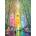 Magnolia - Puzzle Quartz Forest - 1 000 piese