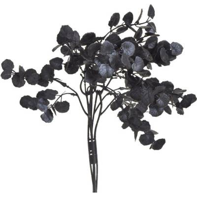 Eukalyptus trs 5 větviček – černý, 40 cm