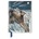 Flame Tree Publishing Angela Harding: Shooting Stars (Foiled Pocket Journal) | Flame Tree Publishing