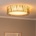 TK Lighting 4556