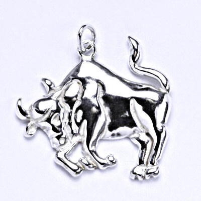 Čištín Stříbrný přívěšek znamení býk, P 941