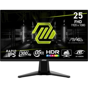 MSI MAG 255XF