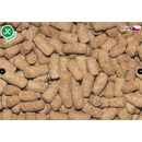 Dajana Gammarus sticks 1 l