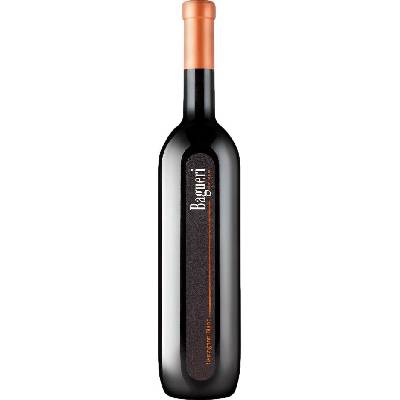 Klet Brda Bagueri Superior Sauvignon Blanc 2021 Bílé 14% 0,75 l (holá láhev)
