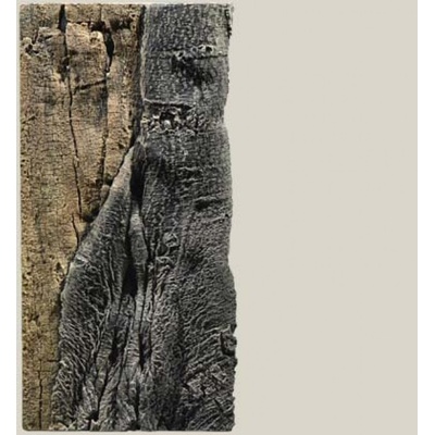 Back To Nature Slimline Amazonas 50C, 20x45 cm