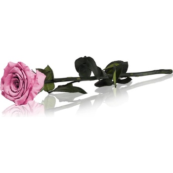 Image 1 of RoseAmor Pink стабилизирана роза стрък 30 см