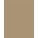 FOLIA Декоративен картон, двустранен, a4, 220 г, 100 листа, folia, кестенявокафяво 6122/4/75 (6122/4/75)
