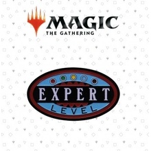 Magic the Gathering Expert Level Pin Badge Limited Edition