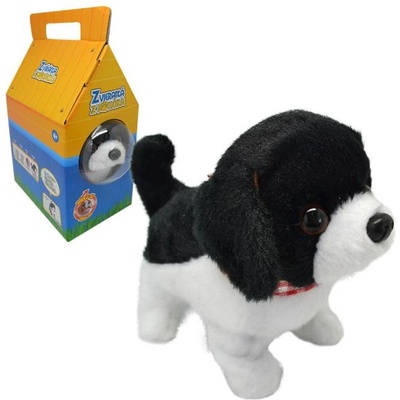 Кучето Рики