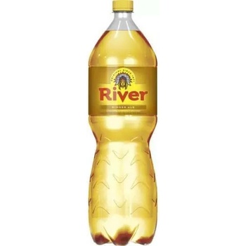 River Ginger Ale 2 l