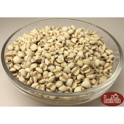 Solia Slzovka Coix lacrymajobi semen 10 g