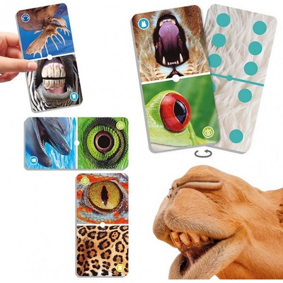 Akros Domino o prírode: Zaostrené na detaily 28 kariet