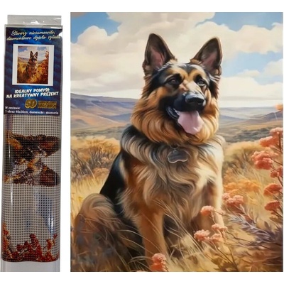 Norimpex diamantové malování Německý ovčák v horách 30 x 40cm – Hledejceny.cz