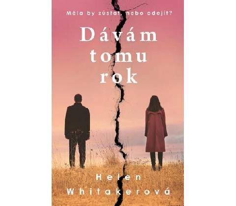 Dávám tomu rok
