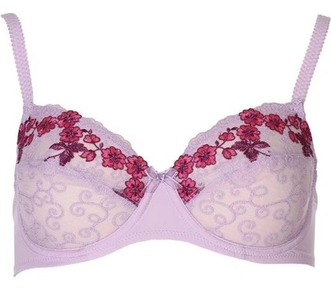 Change Sandra Bra full cup