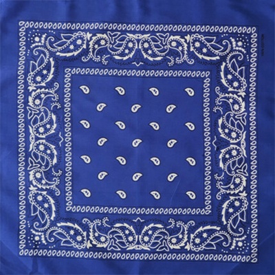 Bavlněný šátek Paisley 50 x 50 cm modrá