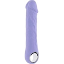 Evolved Purple Fantasy