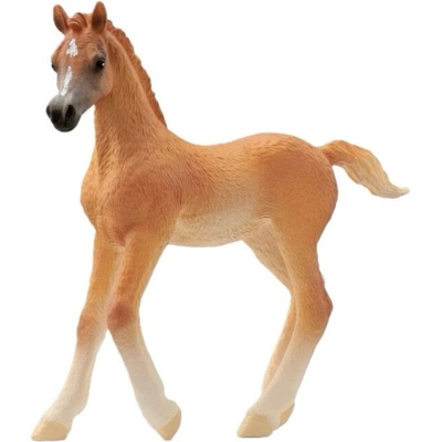 Schleich Фигура Schleich Horse Club - Арабско конче, кестеняво (13984-75369)