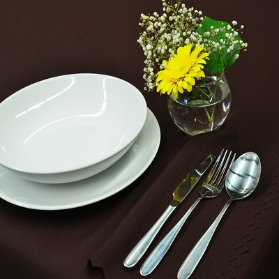 Olzatex Nešpinivý teflonový látkový ubrus UNI 0357 obdélník 100x140cm