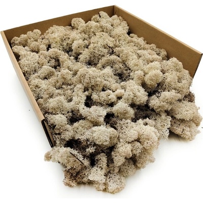 Mech Chrobotek Sobí - Finský - Čištěný - Bílý 250g NETTO