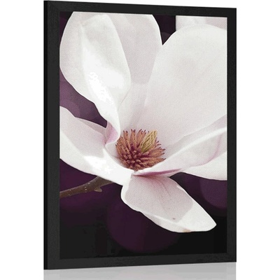 Plakát květ magnólie na abstraktním pozadí - 30x45 black