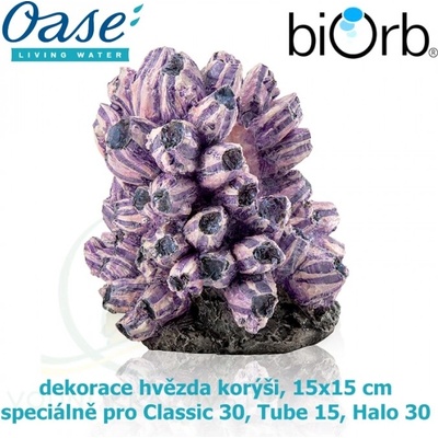 Biorb Hvězda s korýši 15 x 15 cm 48359