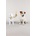 Seletti Rio 14794