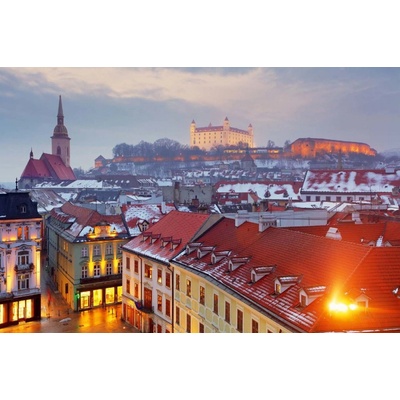 Dimex MS-5-1172 Vliesová fototapeta Bratislava rozměry 375 x 250 cm