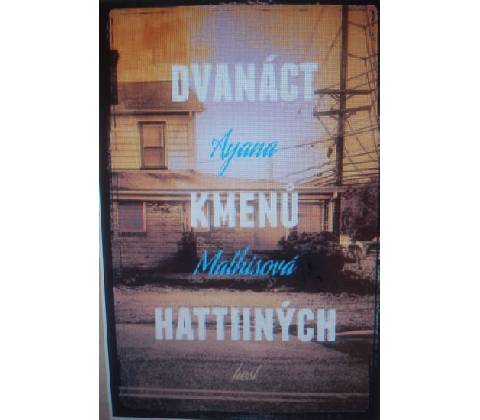 Dvanáct kmenů Hattiiných
