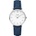 CLUSE CL30030