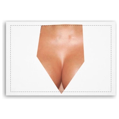 Fotoobraz 90x60 cm střední Simply the breast