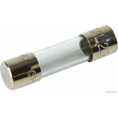 Poistka HERTH+BUSS ELPARTS 50295005
