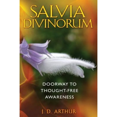 Salvia Divinorum