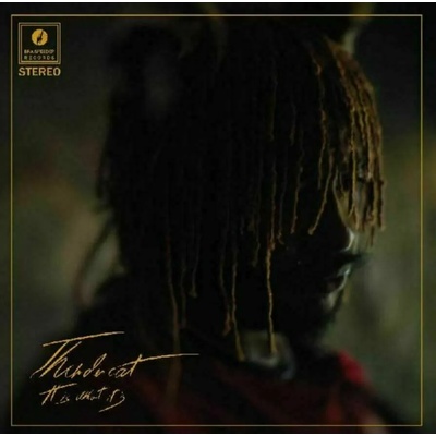 Thundercat - It Is What It Is (LP) (5054429140439)