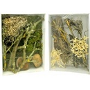 Lucky Reptile Deco Set Desert