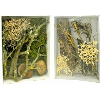 Lucky Reptile Deco Set Desert