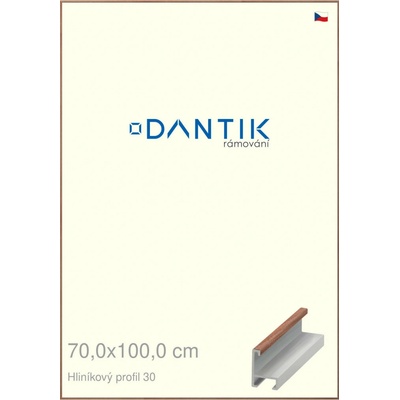 DANTIK rám na obraz 70 x 100 Dýha ořech lak matný