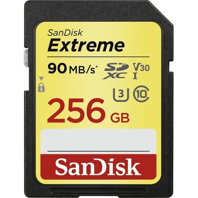SanDisk SDXC 256 GB UHS-I U1 139751